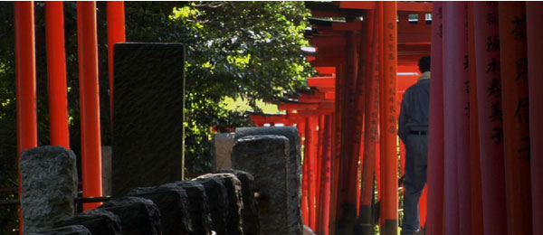 tokyo-waka---600x260