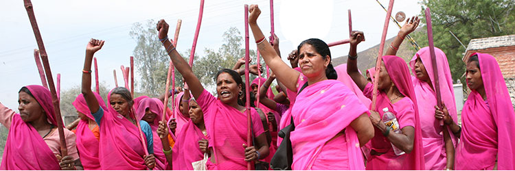 Gulabi-Gang-750x250
