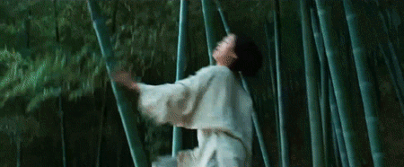 CrouchingTiger-450x186